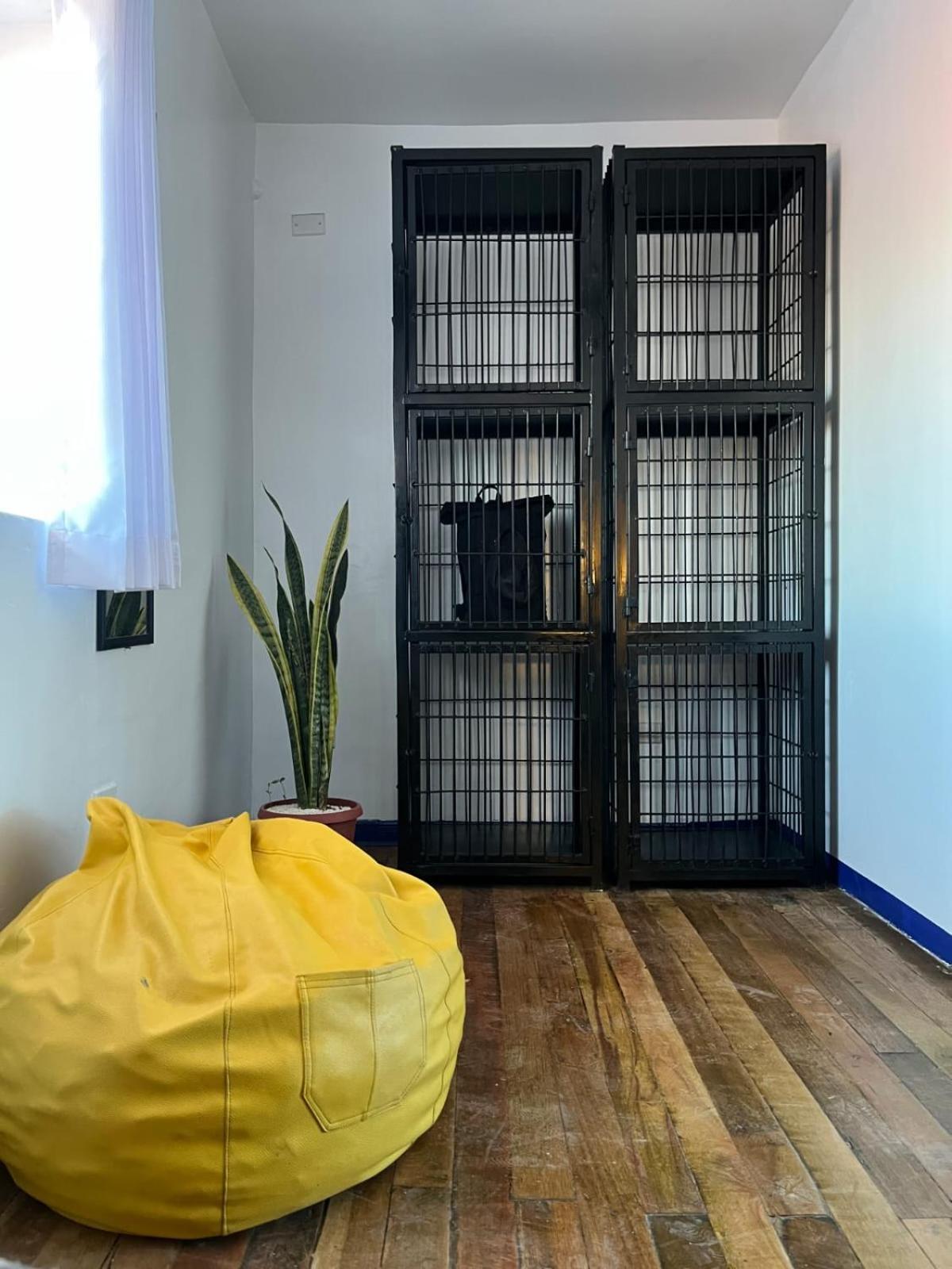 Haku Hostel กุสโก ภายนอก รูปภาพ